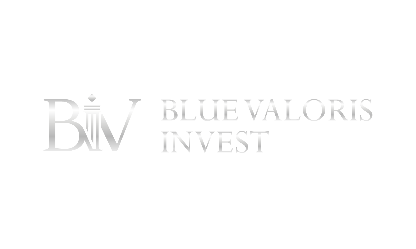 Blue Valoris Invest Logo